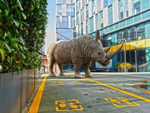 Rhinos Bac in Town sergisi Ataşehir’de