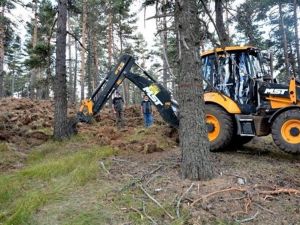 Müdür Keskin: “Yaşlı ormanları gençleştirmek için çalışıyoruz”