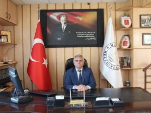 İlçe merkezindeki söğüt ve kavak ağaçları kesilecek