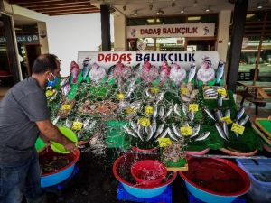 Havaların soğumaması balık fiyatlarını yükseltiyor