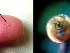 Kuşadası’nda milimetrik boyutlarda 42 mikro minyatür eser sergileniyor