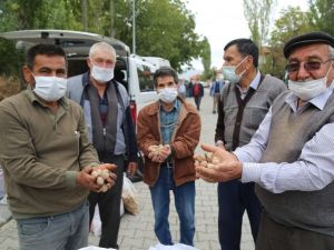 Çameli’nin yerli ceviz ve fasulyesi ilgi görmeye devam ediyor