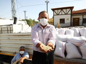 Keçiören Belediyesinden çiftçilere tohum desteği