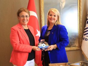 CHP’li Köse Bodrum’da kooperatifleri ziyaret etti