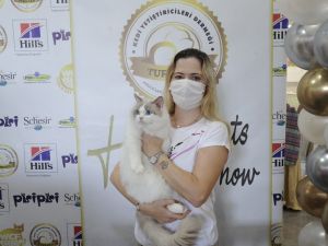 Farklı ırktan kediler İstanbul’da görücüye çıktı