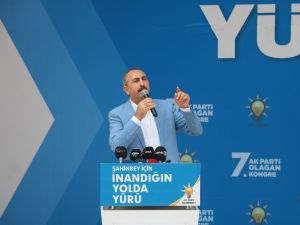 Bakan Gül: "Terör örgütü ciğerlerimizi yakıyor"
