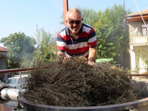 Korona virüsle mücadelede doğal dezenfektan: Kekik suyu