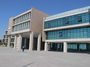Başkanlık koltuğuna oturan fazla yaşamıyor
