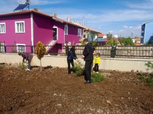 Altıntaş’ta okullarda fidan dikildi