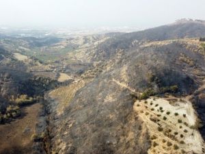 TÜSİKON Hatay için seferber oldu