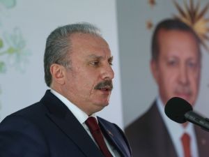 TBMM Başkanı Şentop: “Tabiata zarar vererek kirli emellerine ulaşacaklarını zanneden gafiller şunu iyi bilsinler: Türkiye Cumhuriyeti Devleti büyük ve güçlü bir devlettir”