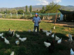 Hobi olarak başladı, çiftlik sahibi oldu