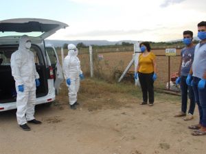 Sağlık Müdürlüğü korona mağduru inekler için özel ekip kurdu