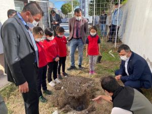 Fidan dikerek Hatay’daki orman yangınına dikkat çektiler