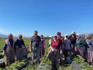 Köşk Belediye Başkanı Güler, kadın çiftçilerin gününü kutladı