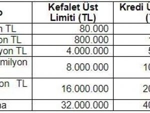 Turizmcilere 10 milyar TL’lik destek kredi sağlanacak