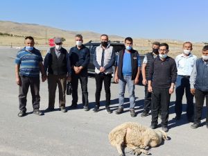 Yeni kazalar yaşanmasın diye kurban kesip dua ettiler