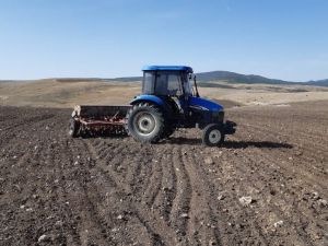 Afyonkarahisar’da tohum toprakla buluştu