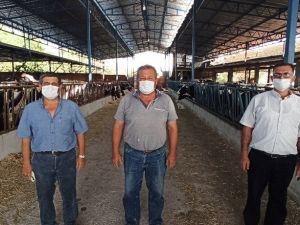 Süt üreticileri, fiyat artışı istiyor