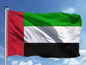 BAE, 5 bin Afganı geçici olarak kabul edecek