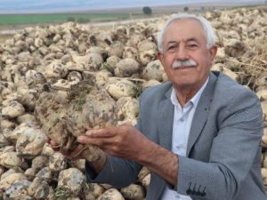 Öğretmendi, öğretti