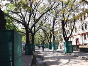 Ankara’nın ilk toplu konut projesi olan Saraçoğlu Mahallesi canlandırılıyor
