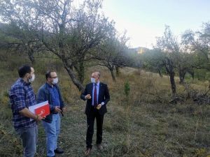 150 yıllık elma ağaçları koruma altına alınacak