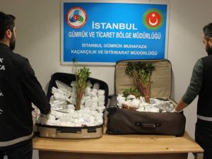İstanbul Havalimanı’nda 208 kilogram Khat cinsi uyuşturucu ele geçirildi