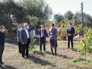 Başkan Gürün, “Muğla turizmden daha fazlasını tarımdan kazanabilir”