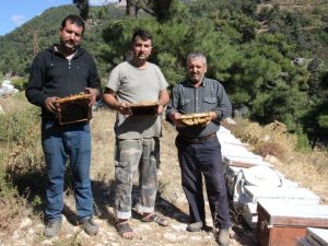 Arı kovanlarının içerisindeki esrarengiz olaylar arıcıları şaşırttı