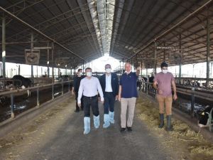 Kaymakam Şahin, Kocagür’deki çiftliği ziyaret etti