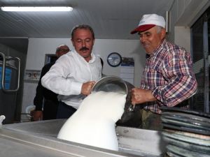Denizlili süt üreticilerine 16 milyonluk müjde