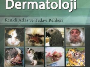 ADÜ’lü öğretim üyesinin çevirisini yaptığı kitap yayınlandı
