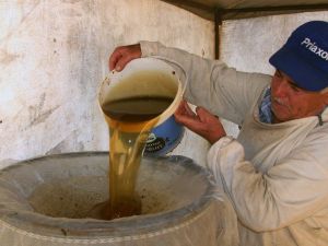 Çam balında kayıp yıl