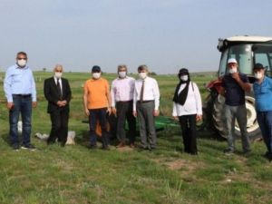 Glütensiz Mutfak Projesi’ne BAP’tan destek