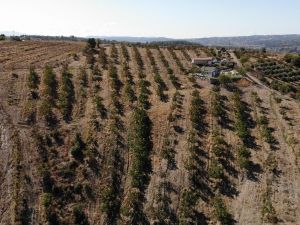 “Kırsala göç” hevesi hem kendi hem de köylünün hayatını değiştirdi