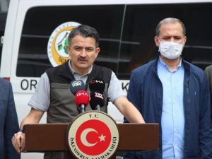 Bakan Pakdemirli: "Hatay yangını kontrol altına alındı"