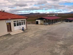 Aslanapa’da hayvan pazarı ve ilçe halk pazarı kapatıldı