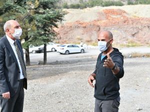 Mamak Belediyesi sokak hayvanlarına sahip çıkıyor