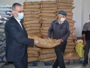 Aydın’da 140 ton fiğ ve arpa tohumu dağıtımı yapılıyor