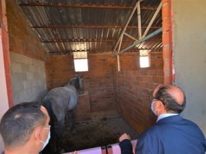 Kaplıcalara gelen engelli bireyler atlarla gezecek