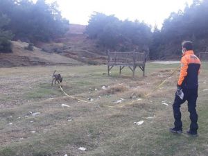 Yaşlı çifti arama çalışmaları sürüyor