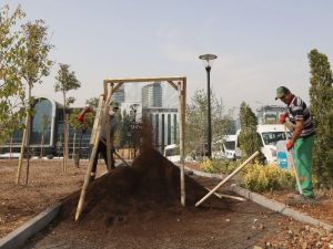 Çankaya’da “Martın Sonu Bahar Parkı”