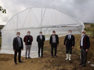 Büyükşehirden sera desteği