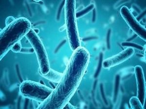 Enfeksiyon deyip geçmeyin