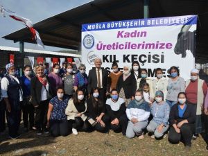 Büyükşehir Ortaca’da kıl keçisi dağıttı