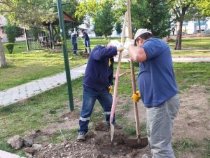 Keçiören’in parkları kış çiçekleri ile donatıldı