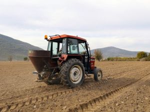Menteşe’de ata tohumu buğdaylar toprakla buluştu