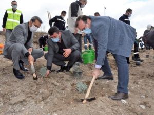 Emet’te 6 bin 500 fidan toprakla buluştu