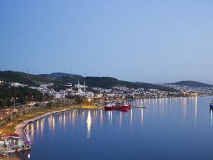 Korona virüs, su üstündeki hayatı da olumsuz etkiledi